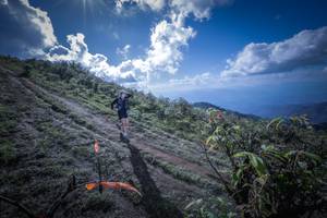 BIB: 
                            <button type="button" onclick="openModal(15955399)" class="btn btn-primary btn-sm float-right btn-popup" data-toggle="modal" data-target=".modal-high-quality">
                        <i class="fas fa-shopping-cart"></i> Add to Cart
                    </button>
                                            <button type="button" onclick="isThisMe(15955399, true)" class="btn btn-success btn-sm float-right btn-popup btn-isme hidden" data-toggle="tooltip" data-placement="bottom" title="นี่คือรูปของคุณใช่ไหม คลิกที่นี่เพื่อเอาเข้าอัลบั้ม">
                        <i class="fas fa-plus"></i> Add to album
                    </button>
                    <button type="button" onclick="isThisMe(15955399, false)" class="btn btn-warning btn-sm float-right btn-popup btn-isnotme hidden">
                        <i class="fas fa-ban"></i> Remove from album
                    </button>